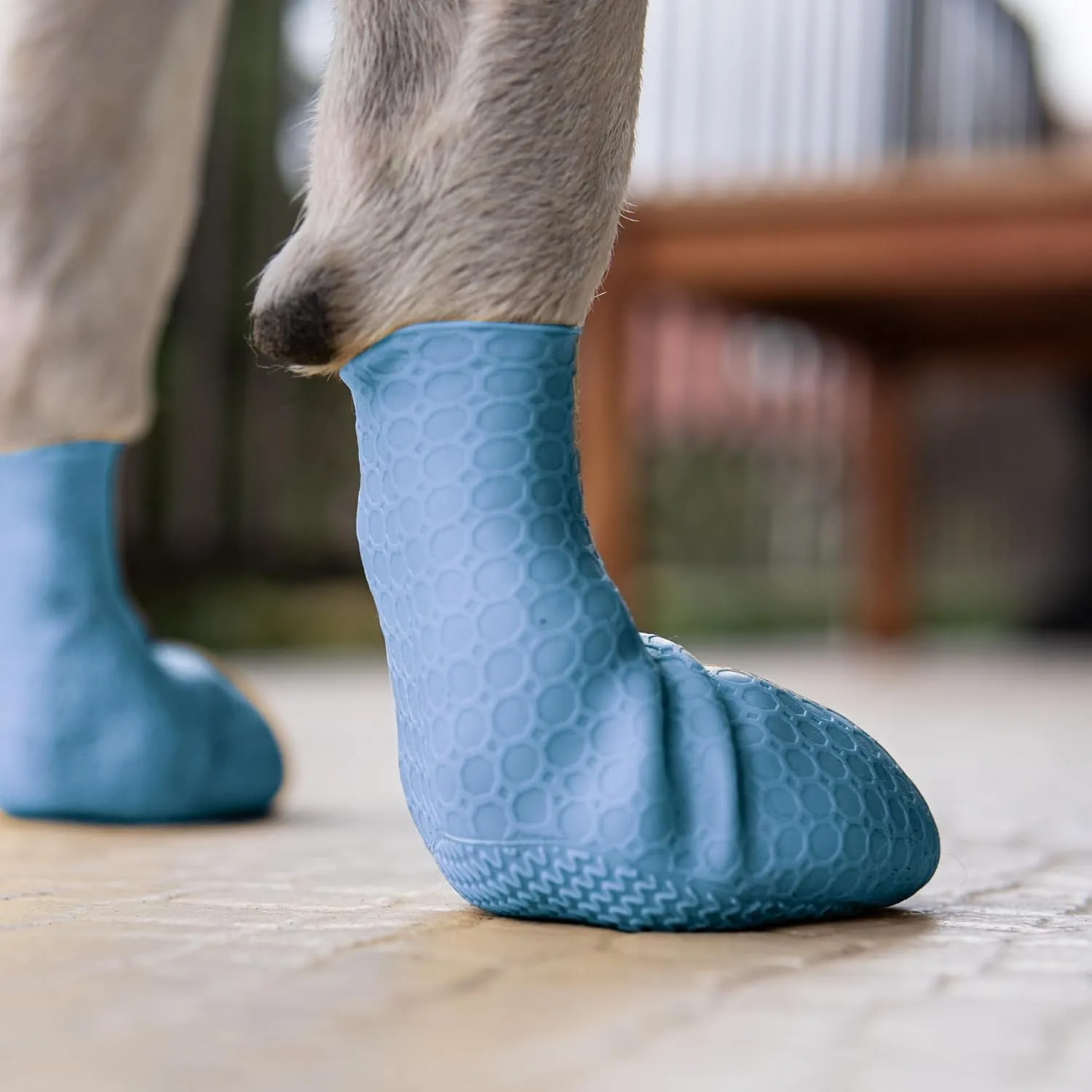 Paw-Skins Next-Gen Dog Boots | Silicone Dog Shoes | Large, Blue Topaz | Hot Pavement, Snow, Cold Weather Protection