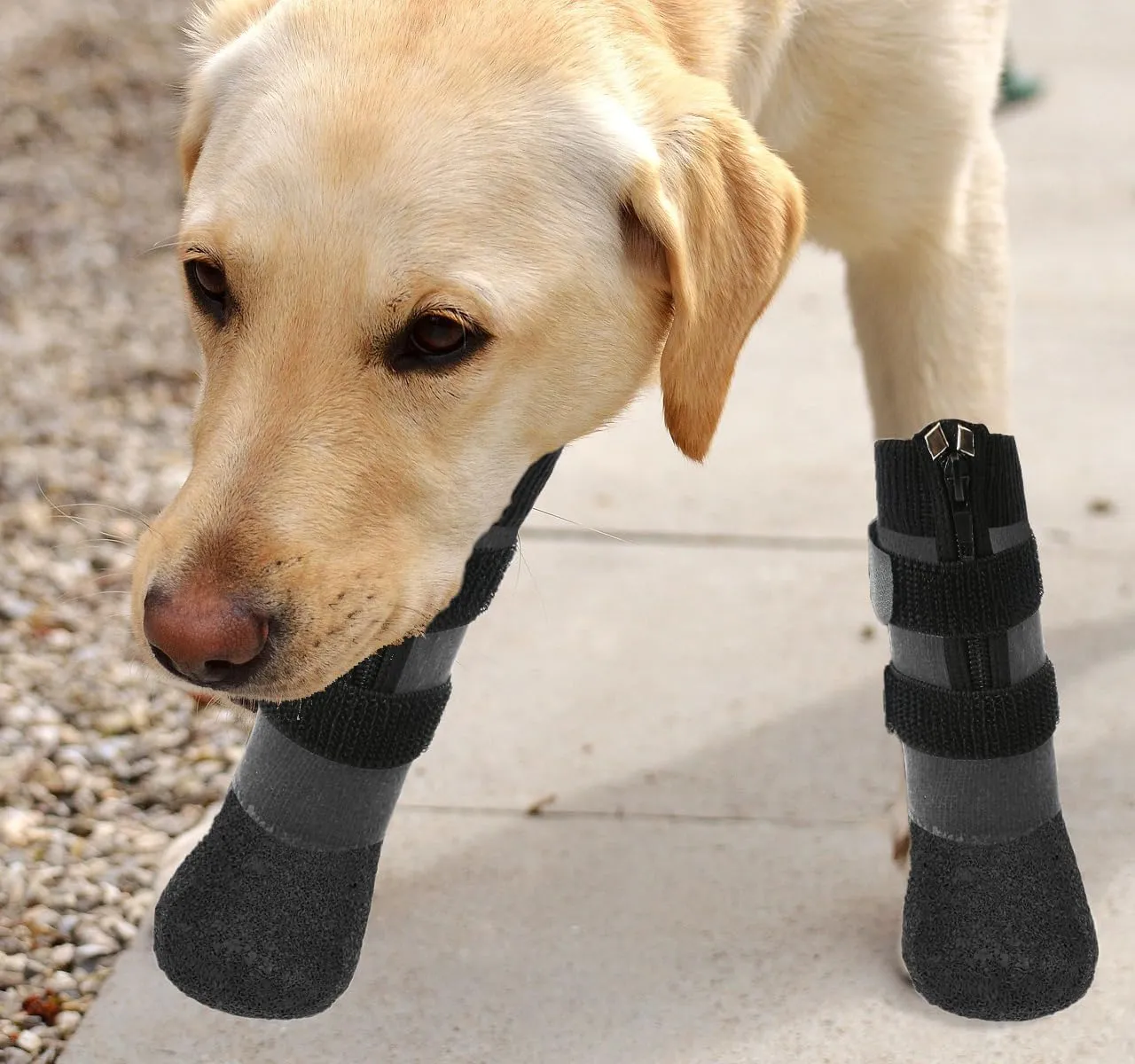 Waterproof Grip Dog Shoes,Anti-Slip Dog Socks Boots,Zipper Dogs Booties Paw Protectors for Hardwood Floor,Indoor and Outdoor for Small Medium Large Dogs Grey