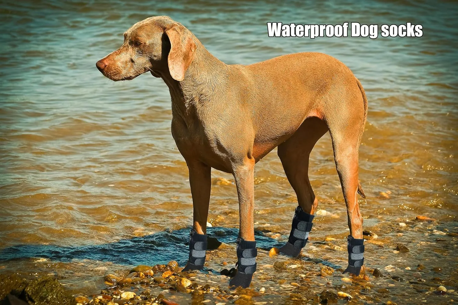 Waterproof Grip Dog Shoes,Anti-Slip Dog Socks Boots,Zipper Dogs Booties Paw Protectors for Hardwood Floor,Indoor and Outdoor for Small Medium Large Dogs Grey